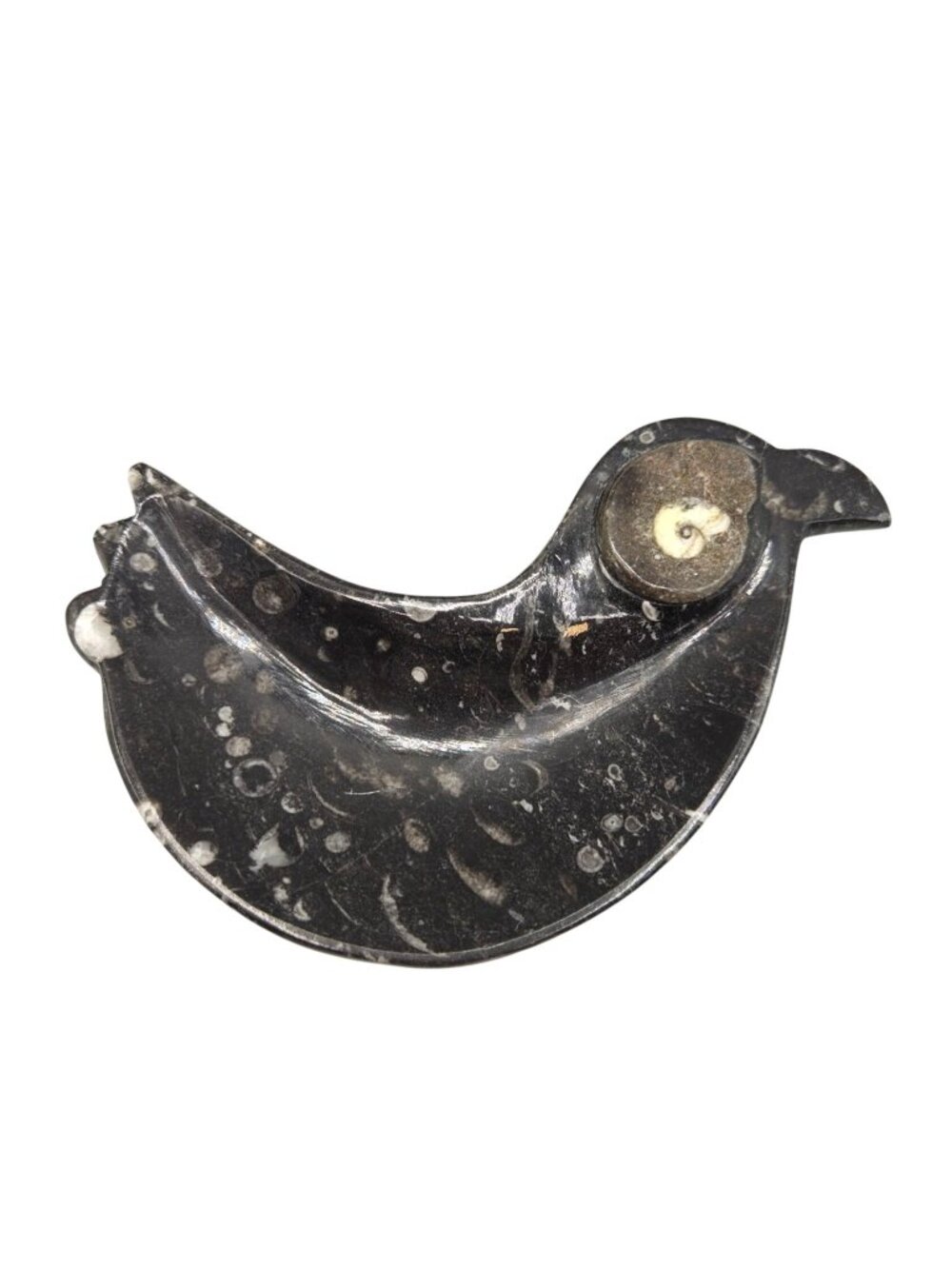 Fossil Stone Bird Trinket Dish Ammonite Black Marble Decorative Jewelry Bowl